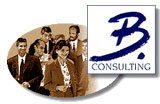 b-consulting